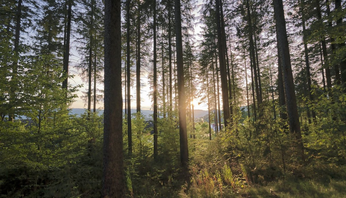 Schade wär's, wenn das alles zu Beton wird. 