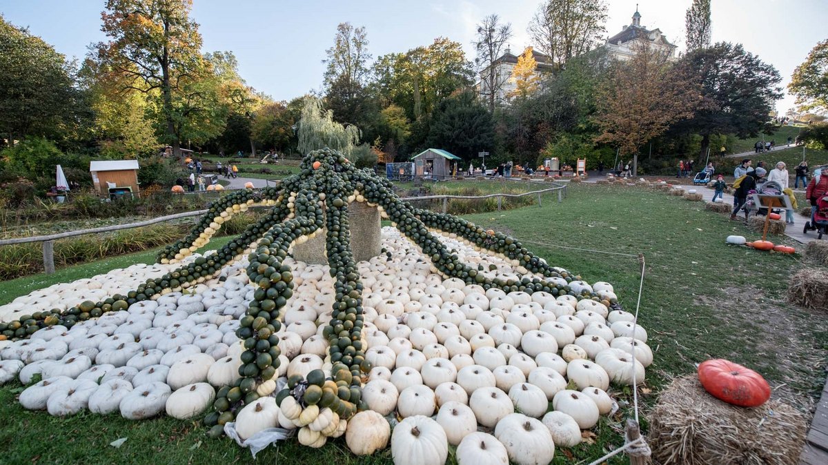 Hoffentlich schnappt er sich niemanden: Achtung, hier ist ein Krake! Hoffentlich schnappt er sich niemanden: Achtung, hier ist ein Krake!
