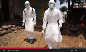 Das Ebolavirus breitet sich in Afrika aus. Screenshot