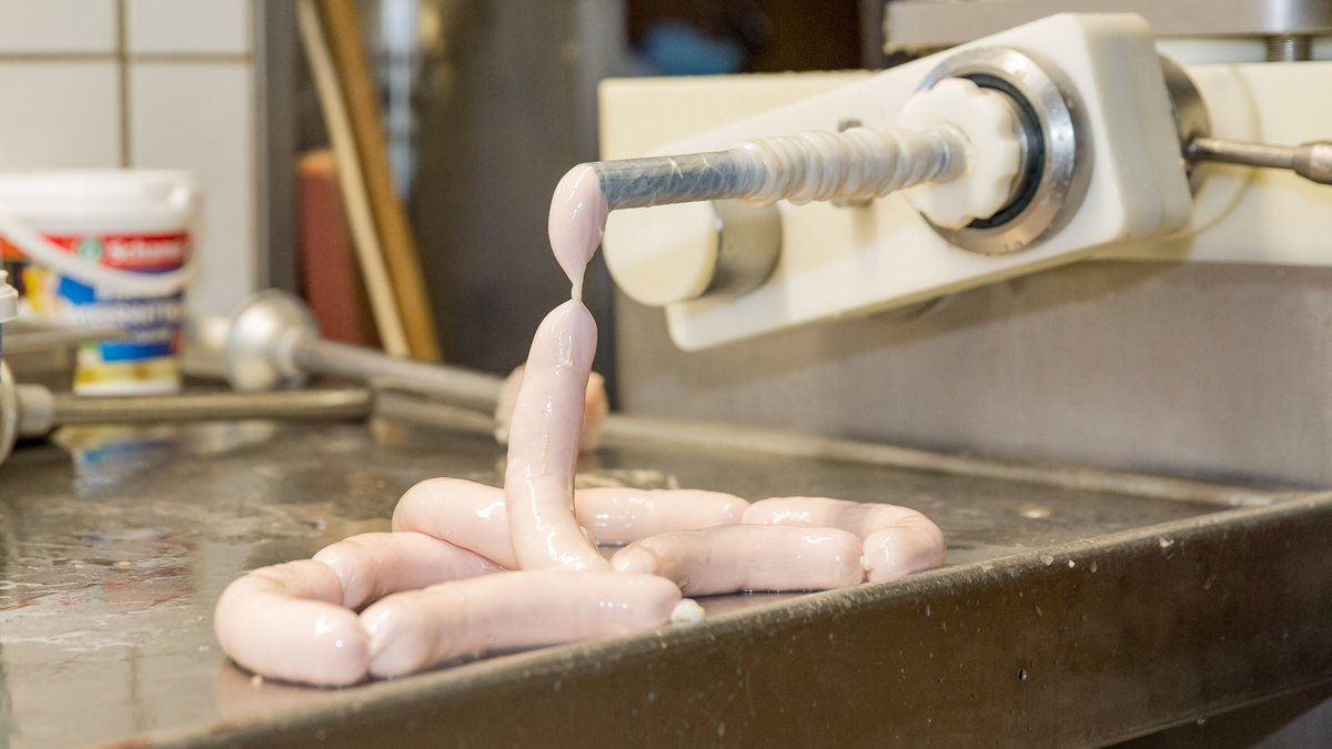 Aus Fleischartigem oder aus rechten Hirnwindungen herausgedrückt. Foto: Julian Rettig