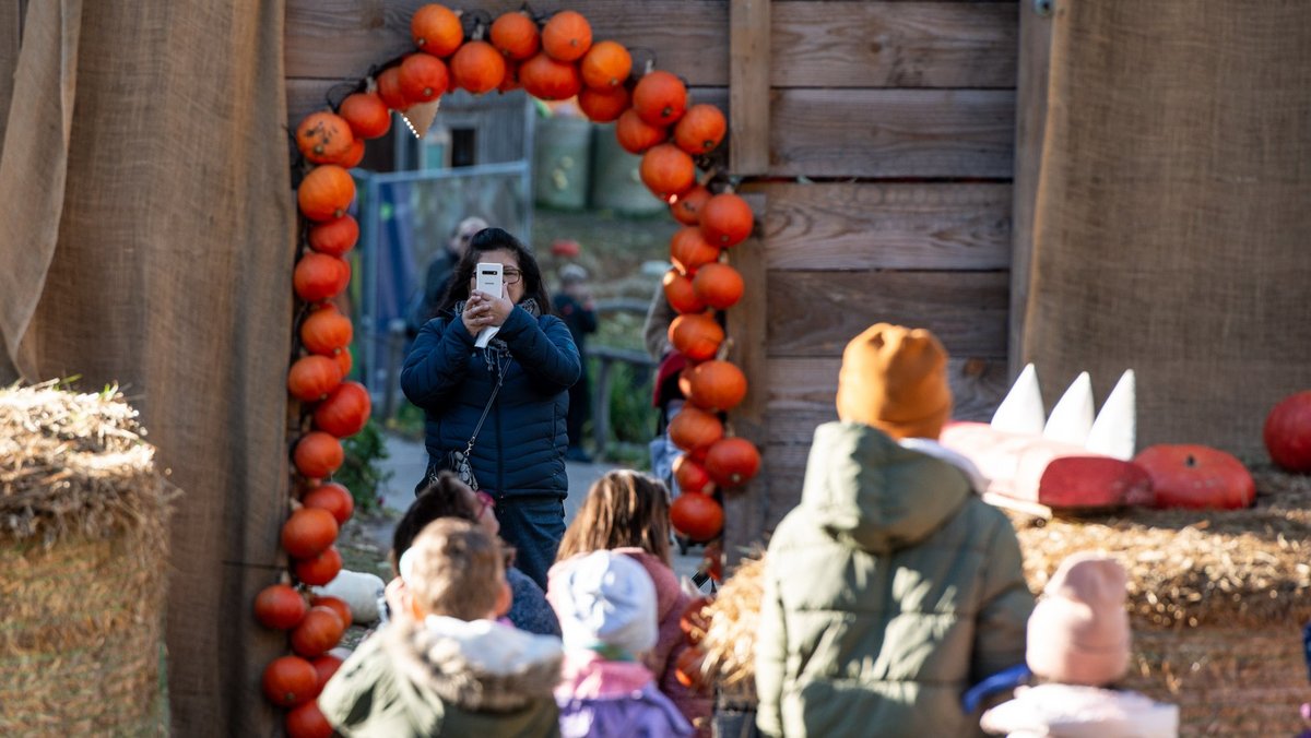 ... trotzdem bleibt die von hinten begehbare Installation ein beliebtes Motiv für Fotos.  ... trotzdem bleibt die von hinten begehbare Installation ein beliebtes Motiv für Fotos.