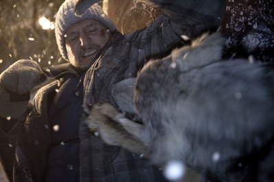 Szene aus "The Grey": Liam Neeson kämpft um sein leben. Foto: Universum Film