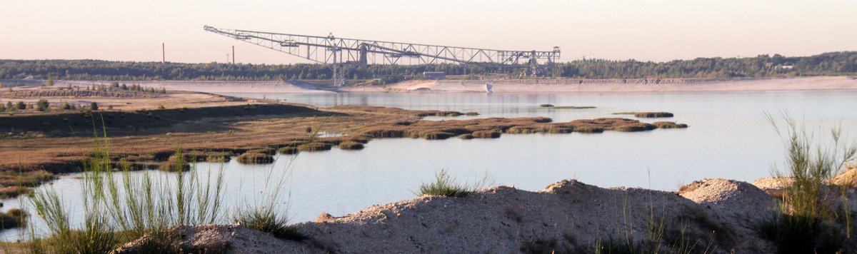In der Lausitz laufen zahlreiche Renaturierungsprojekte. Aus Tagebauen werden Baggerseen, hier nahe Finsterwalde. Foto: <a href="//commons.wikimedia.org/wiki/User:Bodow" title="User:Bodow">Bodow</a>, <a href="https://creativecommons.org/licenses/by-sa/4.0" title="Creative Commons Attribution-Share Alike 4.0">CC BY-SA 4.0</a>, <a href="https://commons.wikimedia.org/w/index.php?curid=67431740">Link</a>