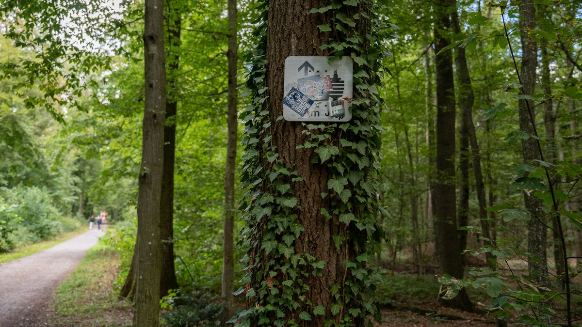 Ein Cruising-Hotspot ist der Wald um den Fernsehturm. Foto: Jens Volle