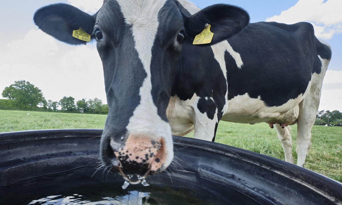 Und weg – sie stellt gerade fest, dass Fotografieren nicht ihr Ding ist.