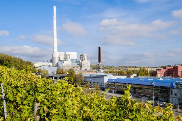 Blick über die Weinreben des Cannstatter Zuckerle auf das Müllheizkraftwerk.