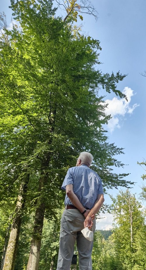 Mehr Klimaschutz, das wär' auch was für den Wald. Der wird vergangenen Herbst öffentlichkeitswirksam begutachtet.