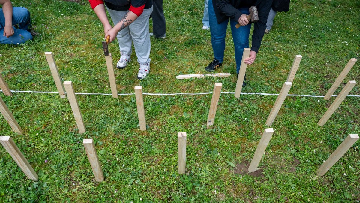 Gemeinsam klopfen sie die Hölzer in die Erde. Gemeinsam klopfen sie die Hölzer in die Erde.