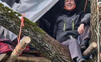 Auf die Bäume