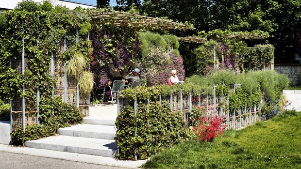 Das "Grüne Zimmer" in Ludwigsburg. 