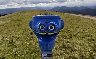Frosch gegen Kupferbergwerk