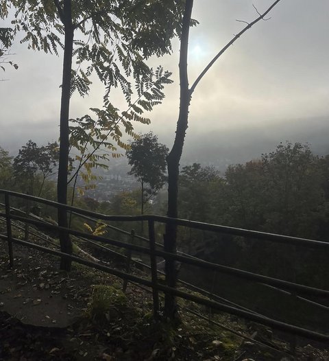 Herbst auf dem Blauen Weg in Stuttgart-Süd. Foto: Joe Bauer
