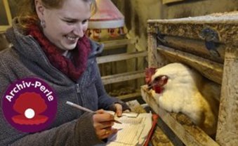 Die Gockelretterin