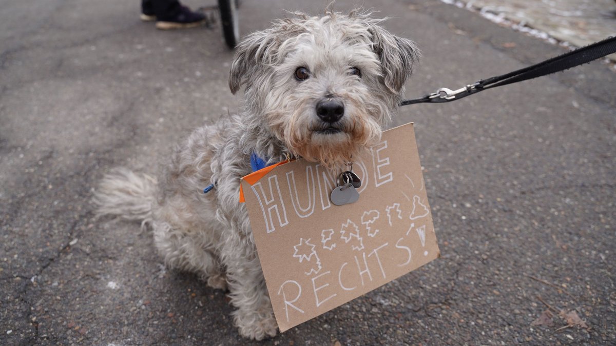 Tierisch vielfältig ist das Bündnis gegen rechts! Am 20.1.2024 in Herrenberg.