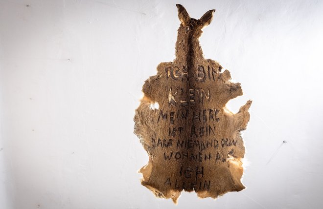 Rehfell, selbst abgezogen von Josephine Boger. Foto: Julian Rettig