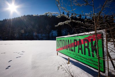 Beim Thema Nationalpark im Schwarzwald gab es massive Bürgerbeteiligung - pro und kontra. Foto: Chris Grodotzki
