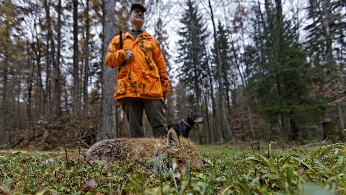 Abgeschossen. Foto: Joachim E. Röttgers