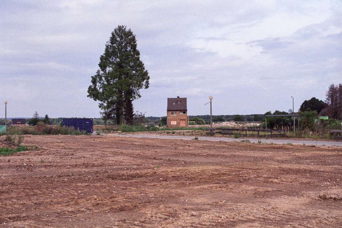 August 2019: In der Berrendorfer Straße steht nur noch Haus Nummer 34 und ein Baum.