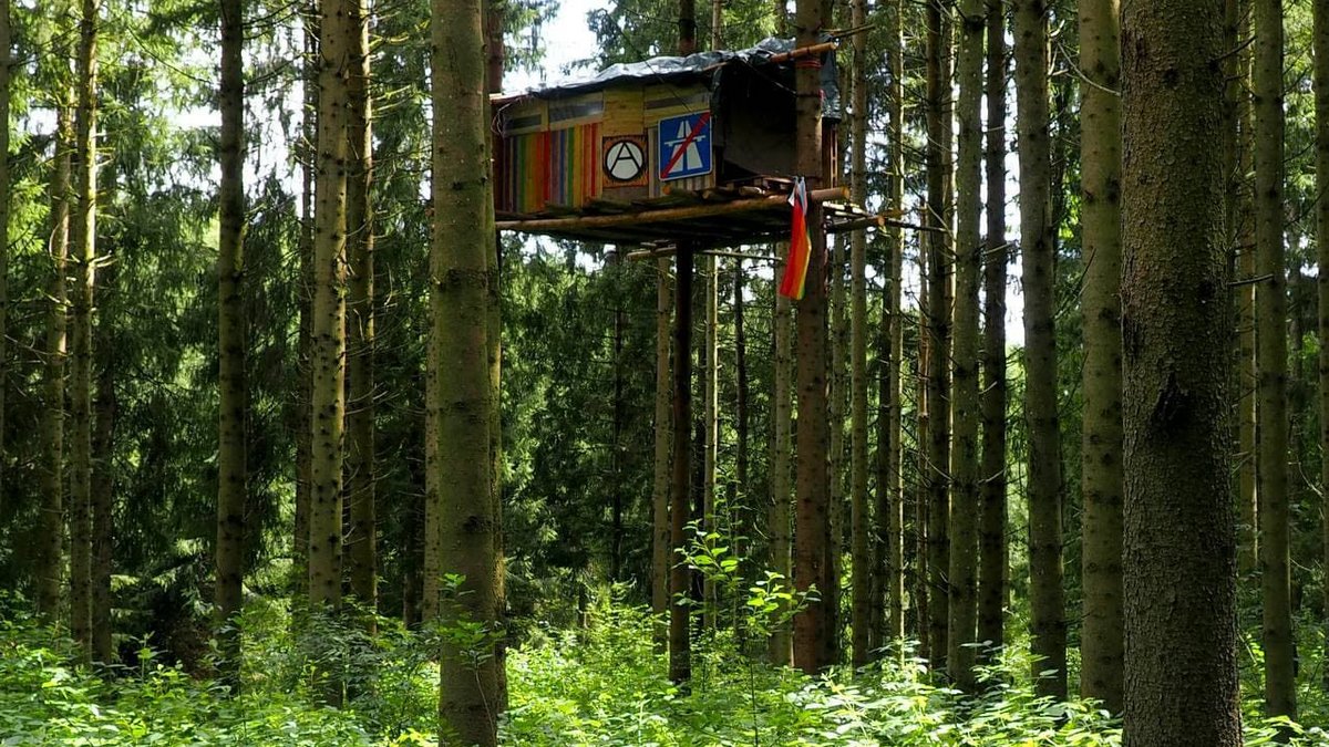 Das ganze Jahr über entstehen neue Baumhäuser im Altdorfer Wald, und Namen bekommen sie auch. Hier zu sehen: das Rattenloch. 