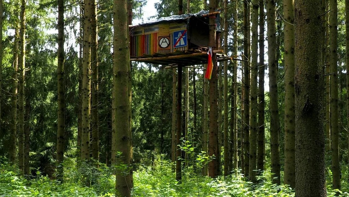 Das ganze Jahr über entstehen neue Baumhäuser im Altdorfer Wald, und Namen bekommen sie auch. Hier zu sehen: das Rattenloch. 