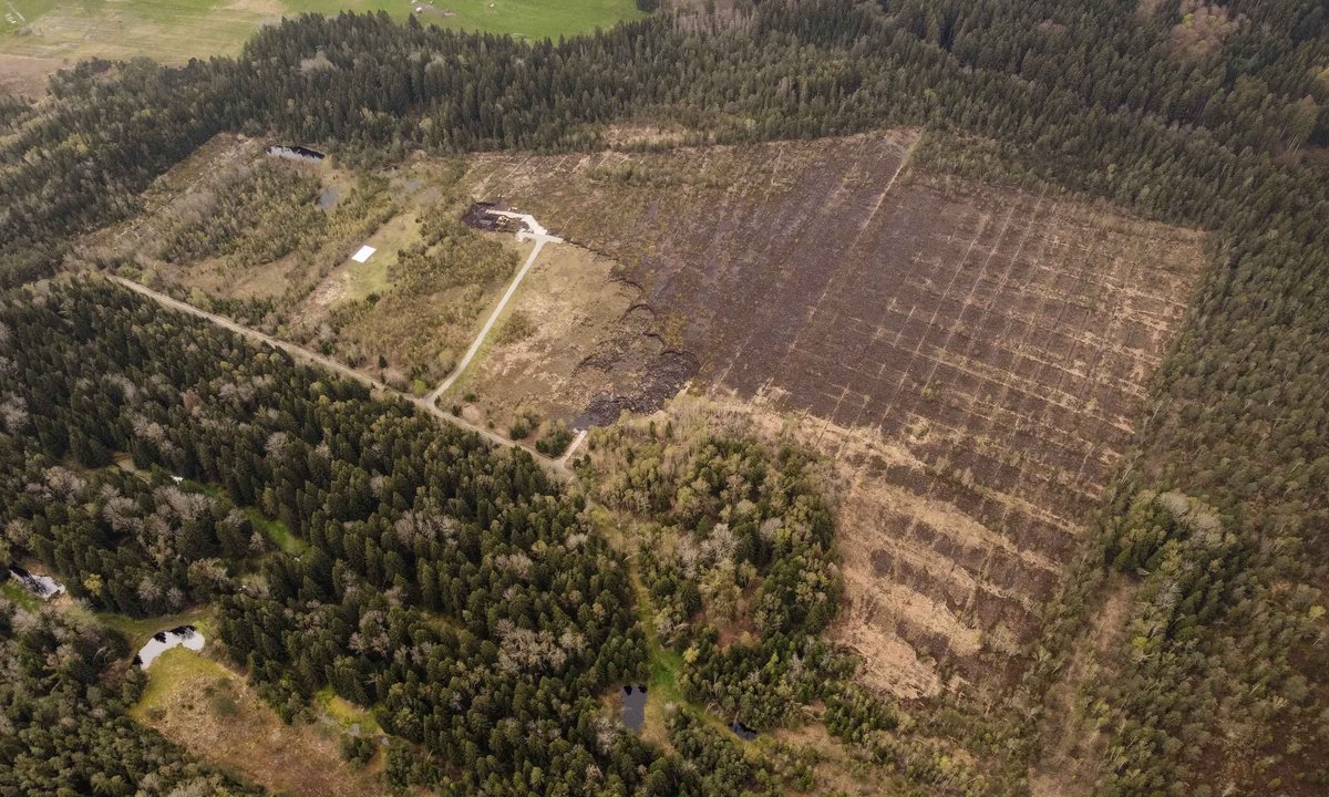 Systematisch ausgebeutet – die Drohnenaufnahme zeigt den geschädigten Abbaubereich, auf der Kiesstraße wird der Torf abtransportiert.