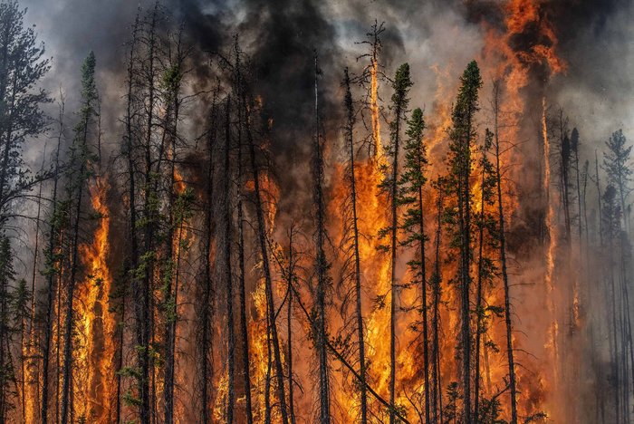 Waldbrand bei Fort Providence, Kanada, Juni 2015. Foto: James Balog
