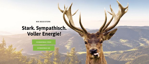 Screenshot: www.schwarzwald-energy.de