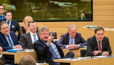 Die neuen Rechten im Landtag: AfD-Fraktion.