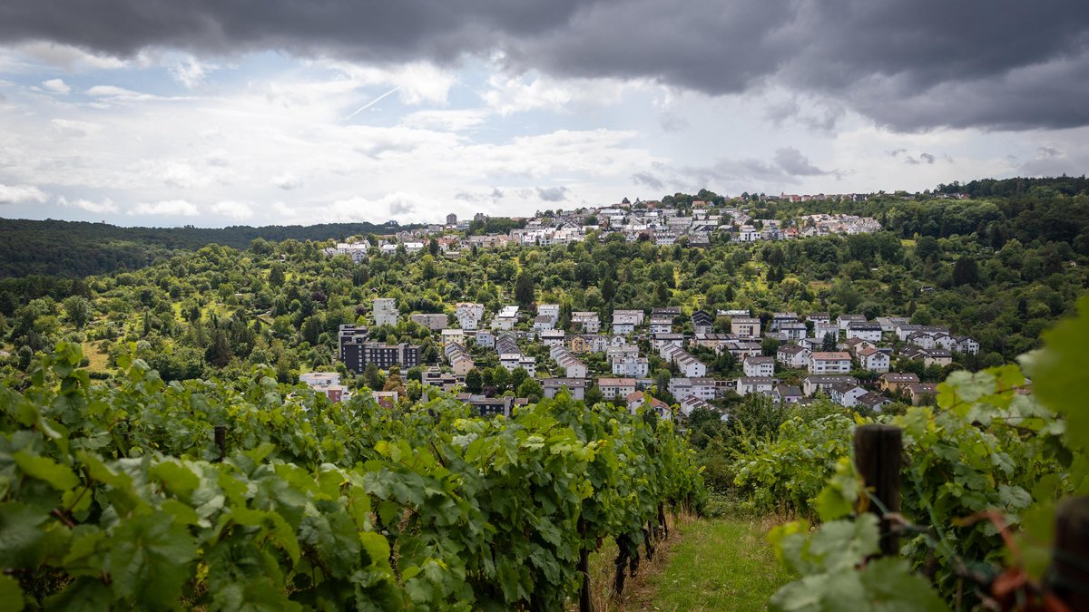 Umgeben von Grün: Landschaftlich ist Rohracker eine Pracht. 