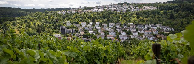 Abgehängt in der Großstadt