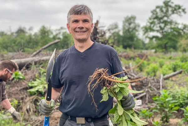 Als Einzelkämpfer haben sie keine Chance, weiß auch Norbert Wilkens von der Aktionsgemeinschaft Hardtwald.