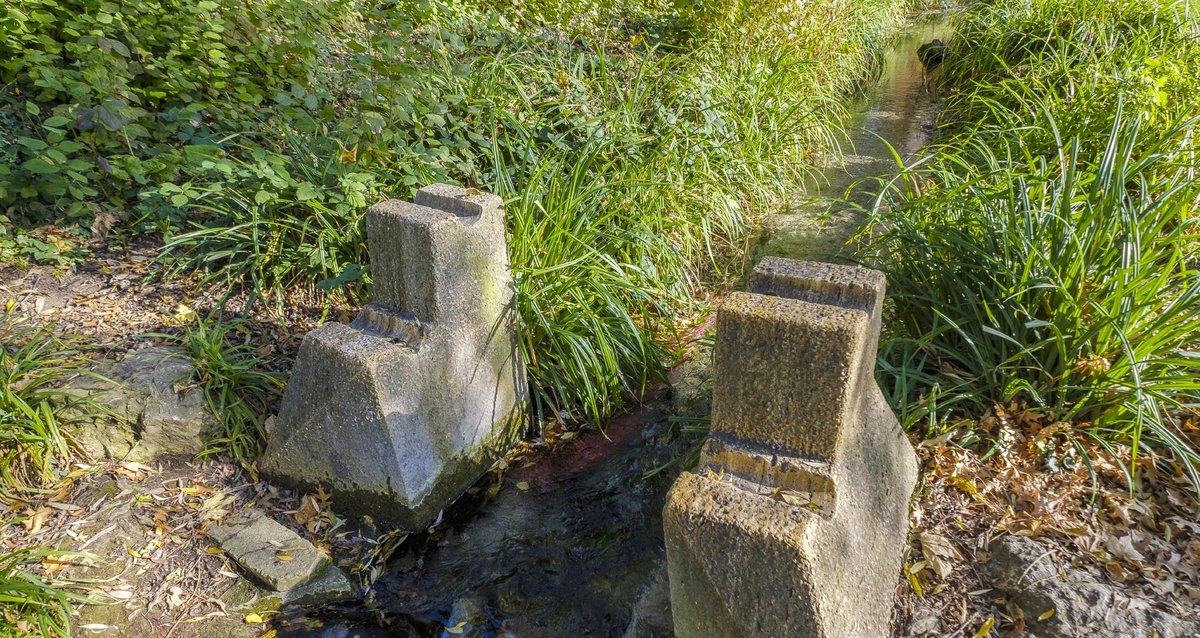 Zuflucht vor dem braunen Sumpf: der Mombach im Grünen. Fotos: Joachim E. Röttgers