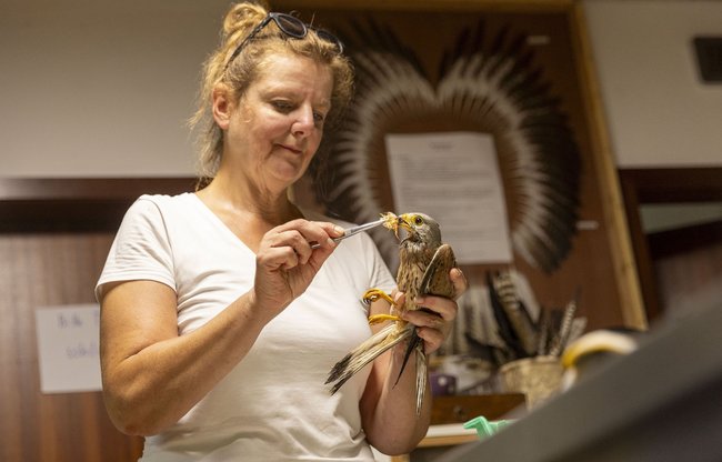 Christin Gedik ist von den Human Resources zum Artenschutz gewechselt. Christin Gedik ist von den Human Resources zum Artenschutz gewechselt.