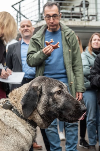 Erstmal 'ne Brezel. Özdemir kurz vor dem Rundgang durchs Stuttgarter Tierheim.   Erstmal 'ne Brezel. Özdemir kurz vor dem Rundgang durchs Stuttgarter Tierheim.
