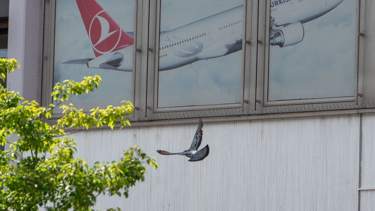 Das soll ihr mal jemand nachmachen.