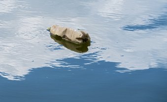 Dieser Stoff ist keine Kunst