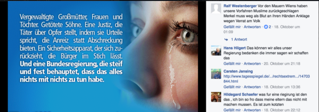 AfD-Propaganda und ausgewählte Kommentare. Screenshot: Facebook