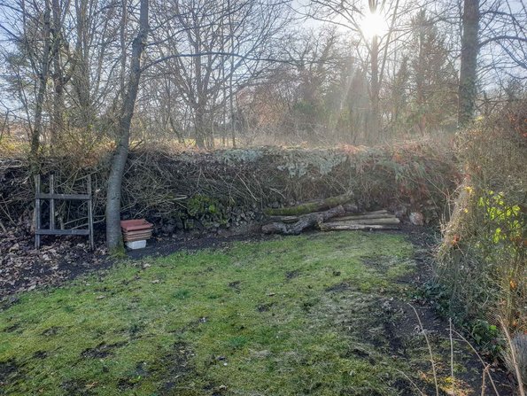 Platz nicht nur für Mauereidechsen: So sah es um die Gärten herum ...