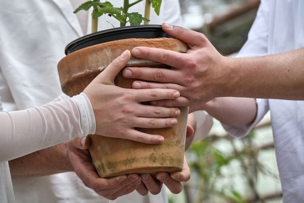 … mit schützenden Händen.