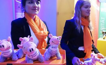 Mittelstand mit Schweinehund