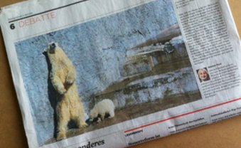 Bissiger Eisbär