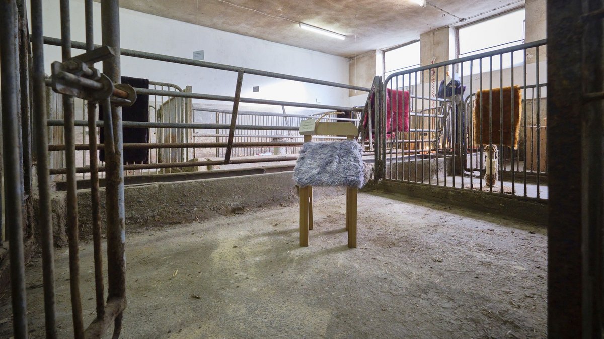 Zur "kollektiven Kunst(Pelz)-Aktion" lädt der Süddeutsche Kunstverein in einen ehemaligen Viehstall. Mehr Fotos mit Klick auf den Pfeil. Zur "kollektiven Kunst(Pelz)-Aktion" lädt der Süddeutsche Kunstverein in einen ehemaligen Viehstall. Mehr Fotos mit Klick auf den Pfeil.