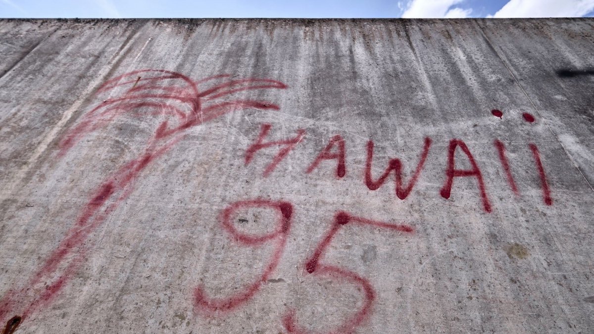 Keiner weiß, warum ausgerechnet dieses Viertel Hawaii heißt: Betonmauer ...