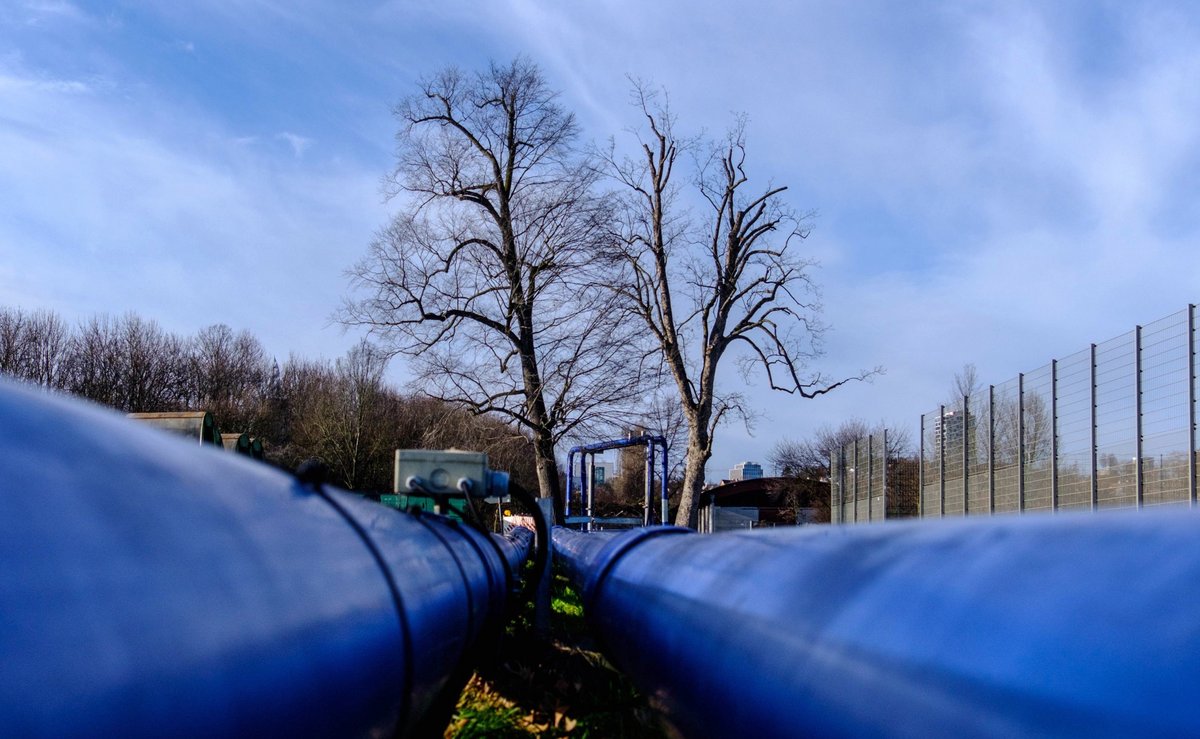 2017: Blau ums verbliebene Juchtenkäfer-Habitat.