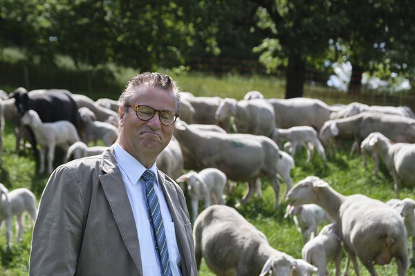 Mit den Tieren scheint Hauk zu fremdeln.