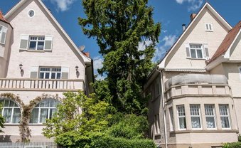 Jüdische Architekten in der Nazi-Zeit