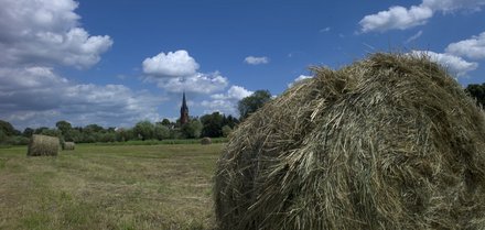 Plötzlich radläufig: das platte Brandenburg mit Bralitz ganz weit hinten.