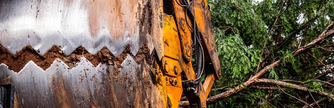 "Wie scheiße sieht die Stadt jetzt aus"