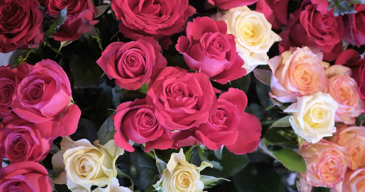 Mindestens so schön wie Sommerlochgeschichten. Foto: Joachim E. Röttgers Mindestens so schön wie Sommerlochgeschichten. Foto: Joachim E. Röttgers