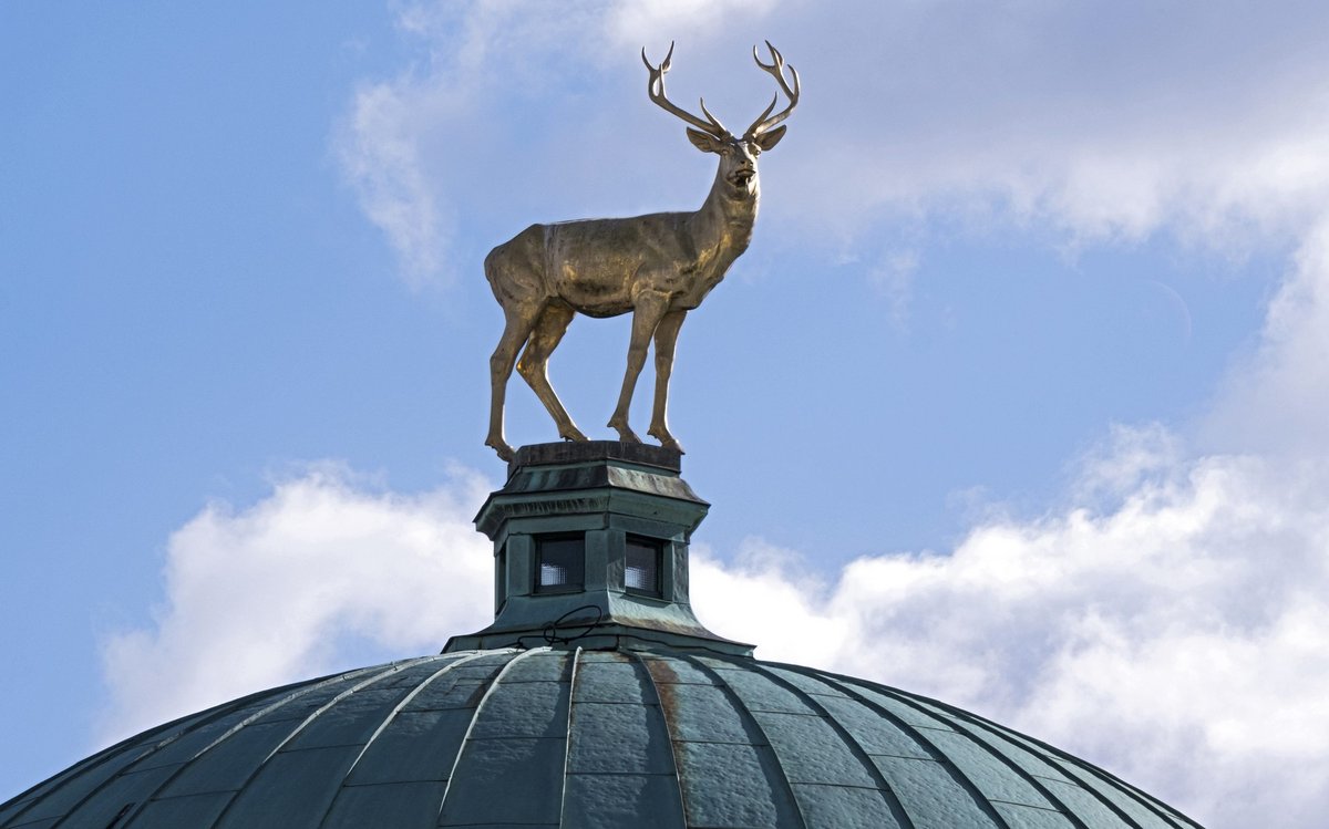 Ein goldener Hirsch krönt die Kuppel des Kunstgebäudes am Stuttgarter Schlossplatz. Foto: Joachim E. Röttgers Ein goldener Hirsch krönt die Kuppel des Kunstgebäudes am Stuttgarter Schlossplatz. Foto: Joachim E. Röttgers